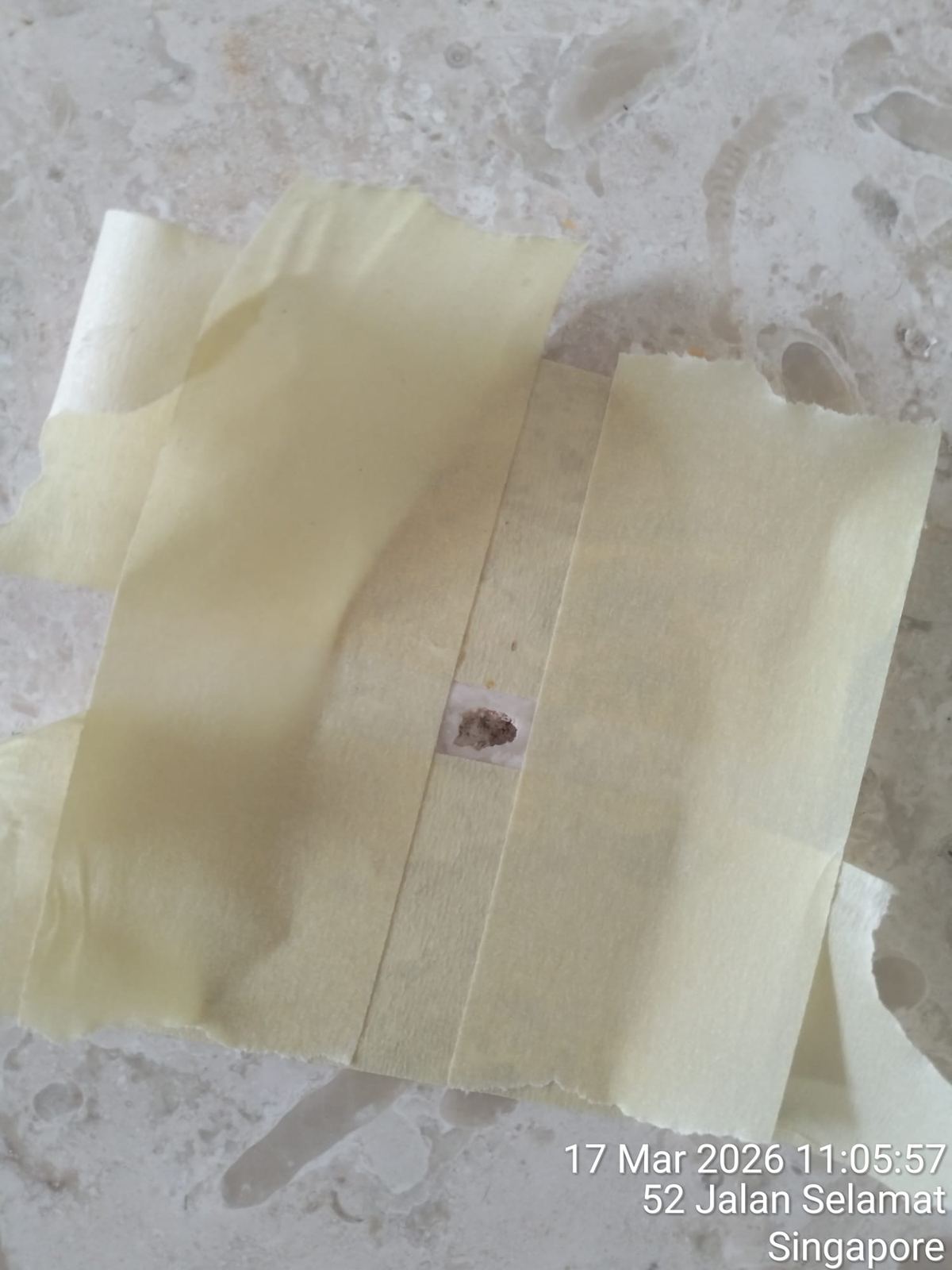 Real photo: quality grout compound being applied to a masked marble joint, Jalan Selamat, Singapore